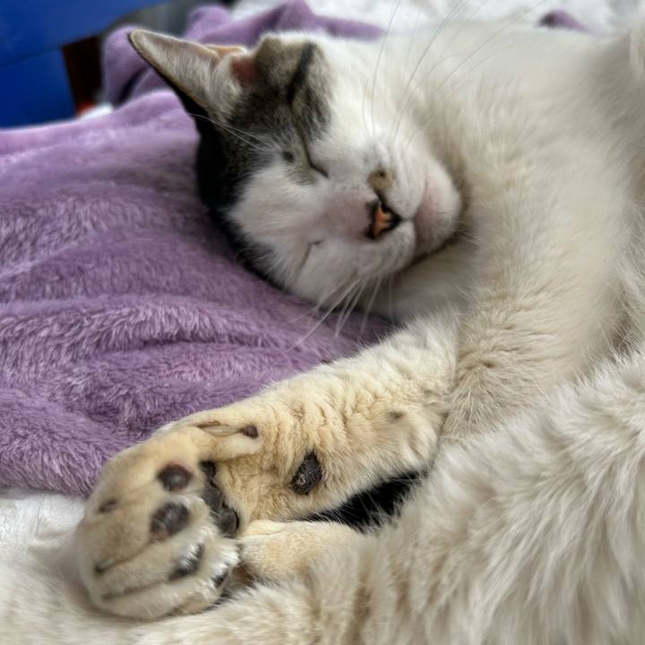 5dd1f7dc 10ba 4b34 9c60 f1d740165343 1745329579102