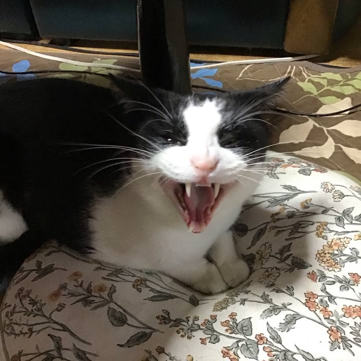 5dd1fe2e 921f 4508 b654 1397b6cd0e45 1727336869824