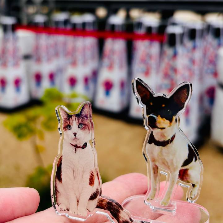 5dd23344 d27b 42f7 8e8a 5a6f0603e4c0 1748687416365