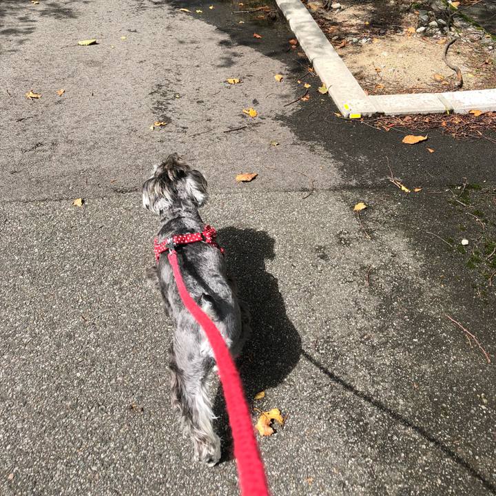 5dd25037 79ce 478b bf6f 013bd5c29615 1537587918002