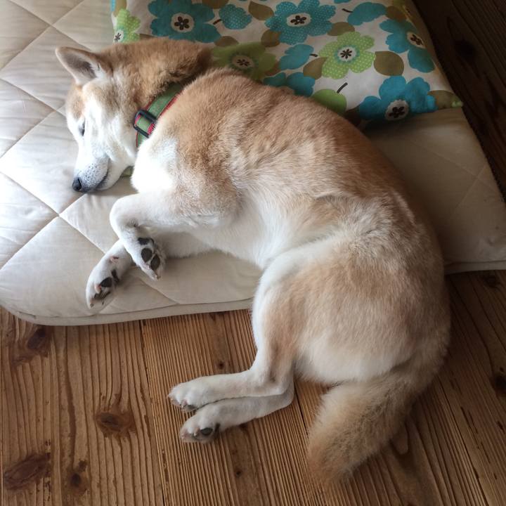 5dd2650a 9a9e 4840 804c 5426af4679c0 1550983222226