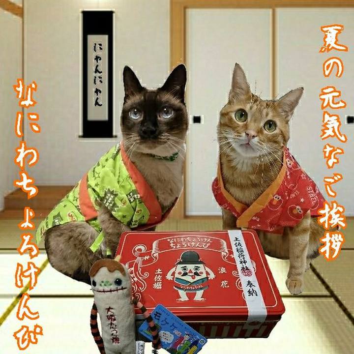 5dd27a77 a656 40b6 ac83 732828fa9a65 1529876276272