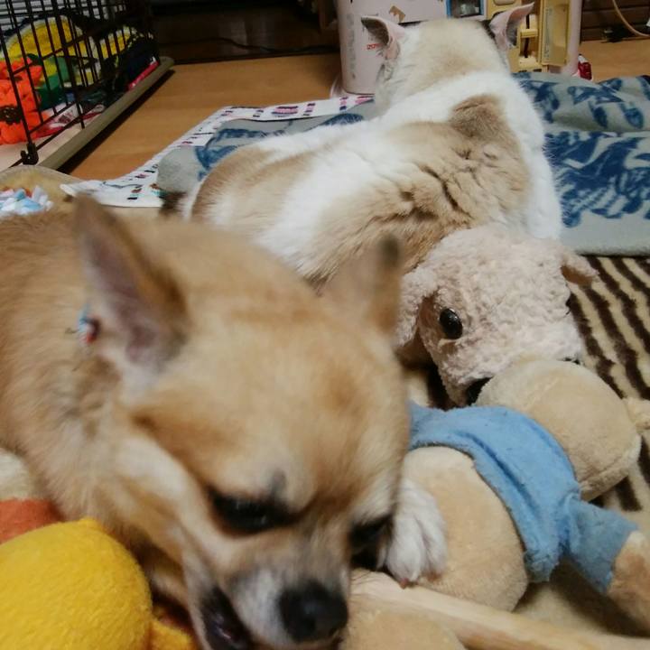 5dd31144 4c09 477e 8362 97a2331711d9 1511861594827