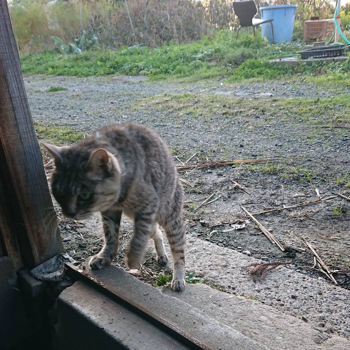 5dd32e4e c737 4e16 9591 d2ca5416da16 1573598180647