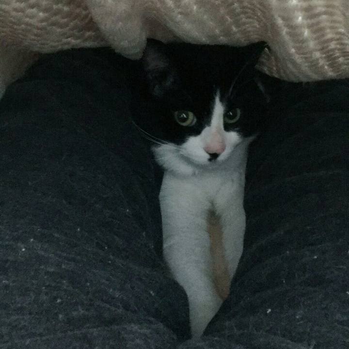 5dd353da 87d0 40f1 8aa7 fdde3eb2f49c 1515157702184