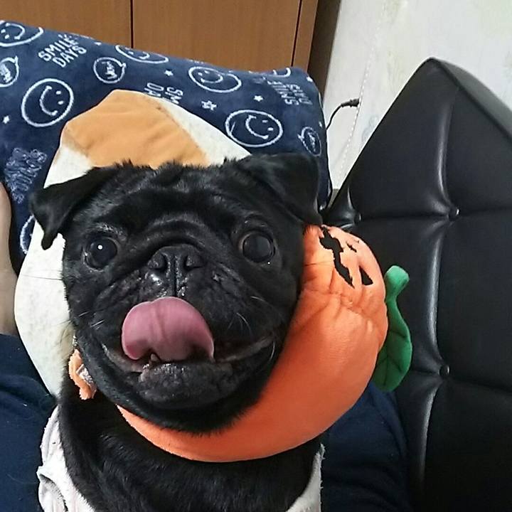 5dd36a4a ea45 4624 9777 5d30808445e5 1545481397754