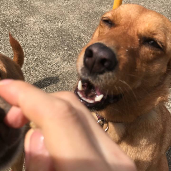 5dd38e51 77cb 4516 b9eb a72d721b0478 1528332098038