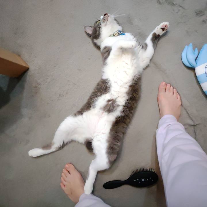 5dd3978b 2626 4464 8cdd d8508a12c9cf 1688594795867