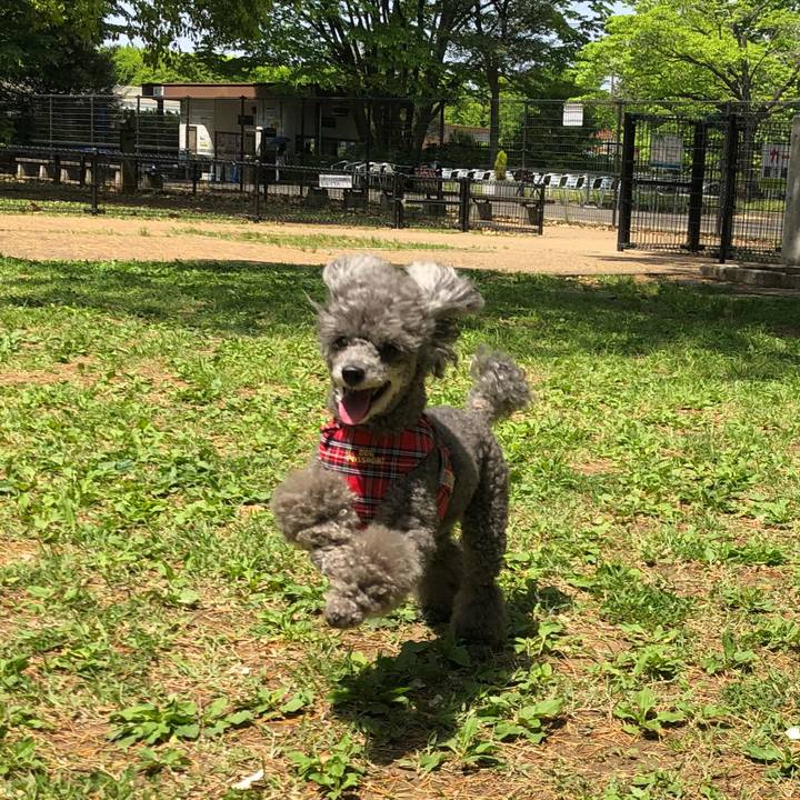 5dd3b68e 5636 405d af09 e798d8d6d3df 1525263130499