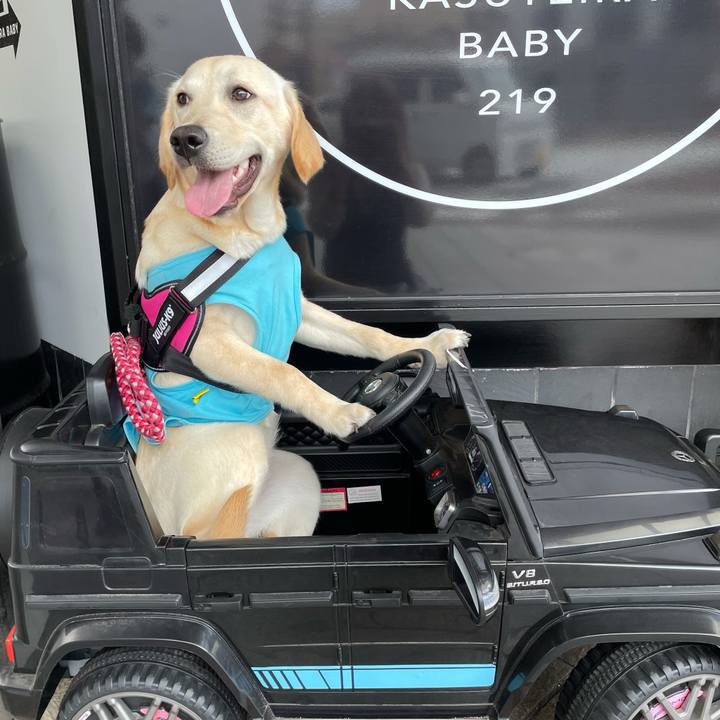 5dd3d4a0 175e 4f46 a3c5 62b0593dffa3 1622085275911