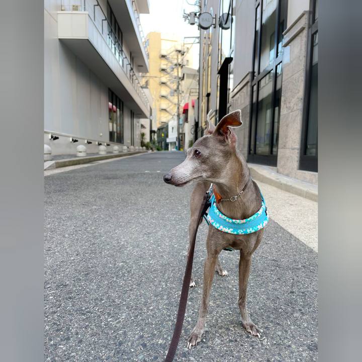 5dd3daa1 3198 4b8e 825b fbc48581d228 1760345375798