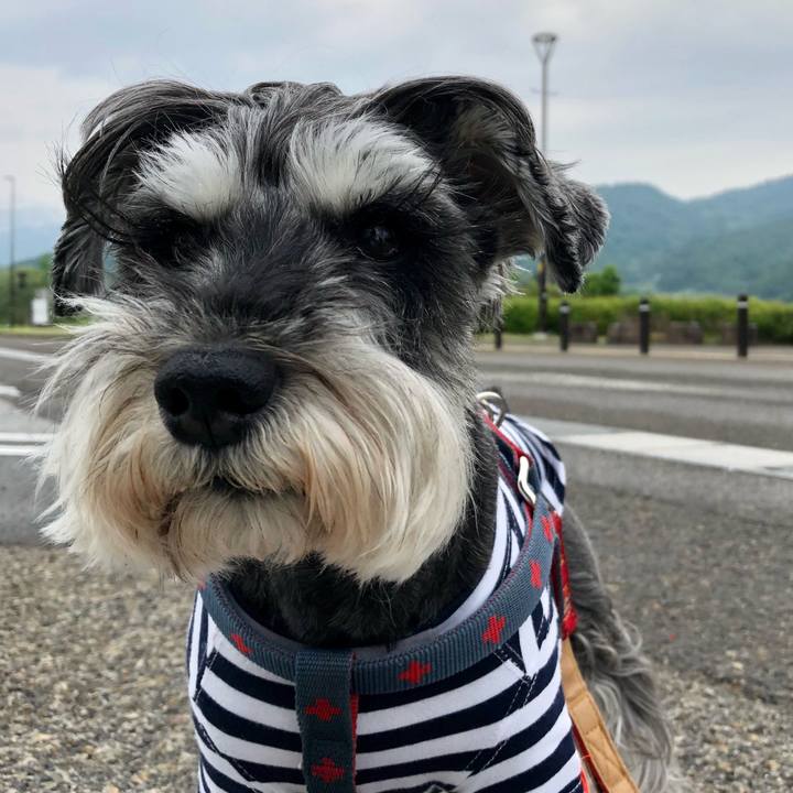 5dd3f51e 7204 43ab b110 f88ddb01df91 1653136131865