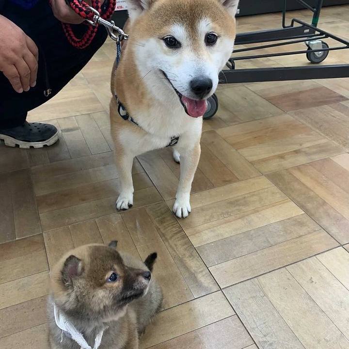 5dd4597b 1587 447a ad34 32d646eb522f 1615694869808