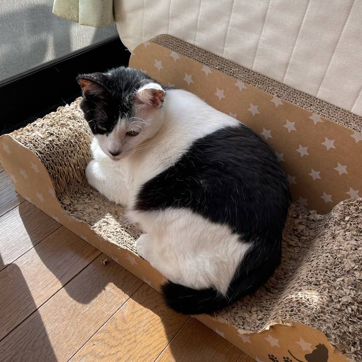 5dd4c899 2fc5 450f 8894 bf87c1ef60b2 1763699676564