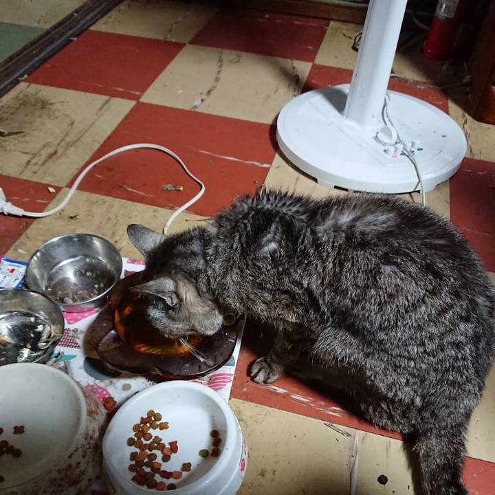 5dd4db20 75db 41ba b8c6 5f3787867d3b 1596573477682