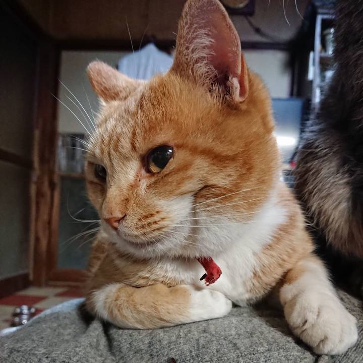 5dd4db25 dbb0 4568 b402 5c8a5b0917ce 1575924975619