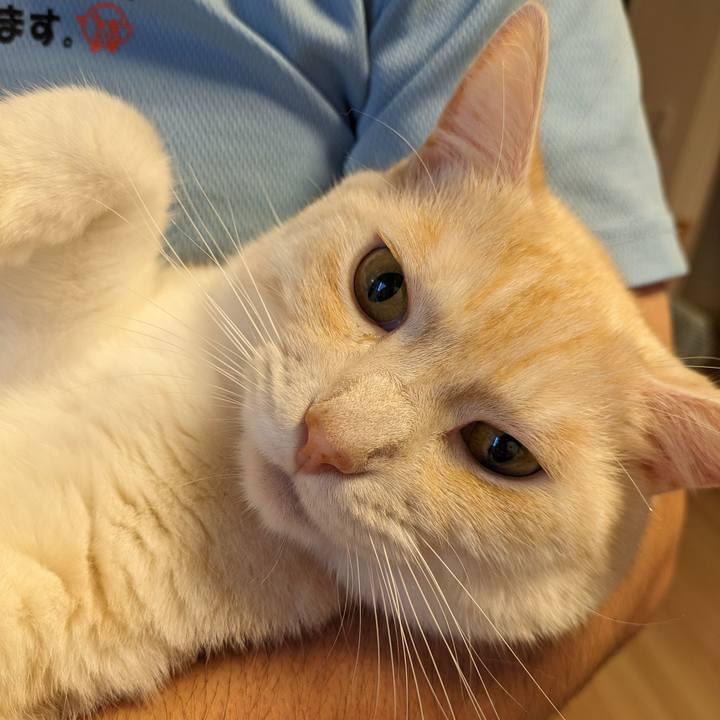 5dd4e6d1 3133 42ac 9171 defcad2f377b 1694556393430