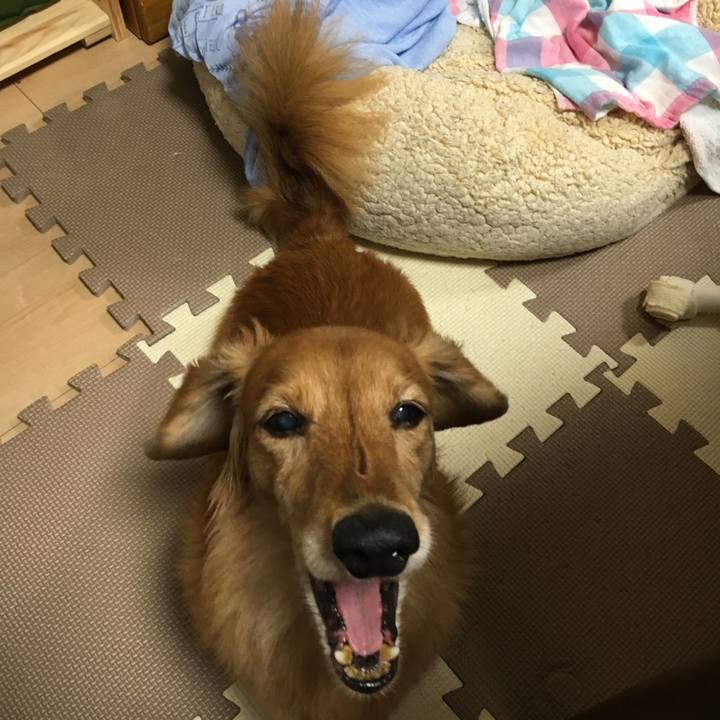 5dd51b08 2343 400f b92d 6cd529cb31f0 1603089627823