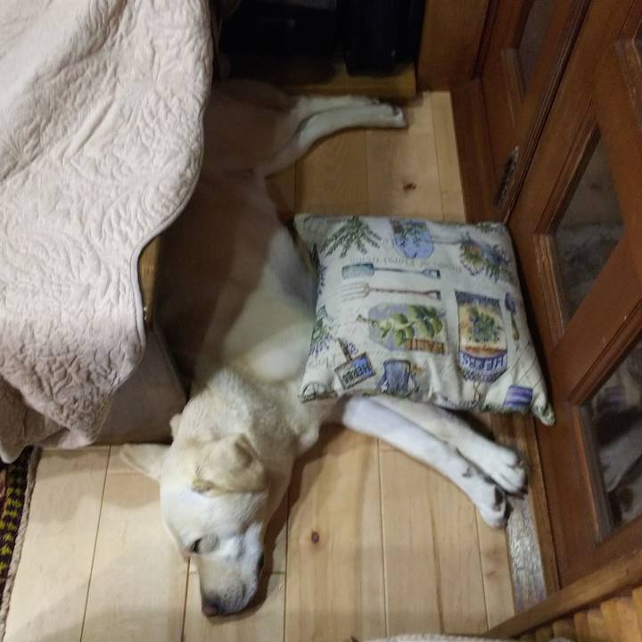 5dd551b5 c1d7 4e20 9be5 ae5afa1dac30 1553948352395