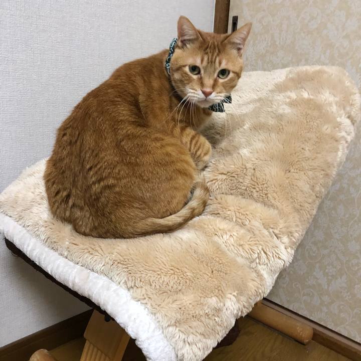 5dd56849 e253 4e71 961e a4c9d0749322 1578217713945