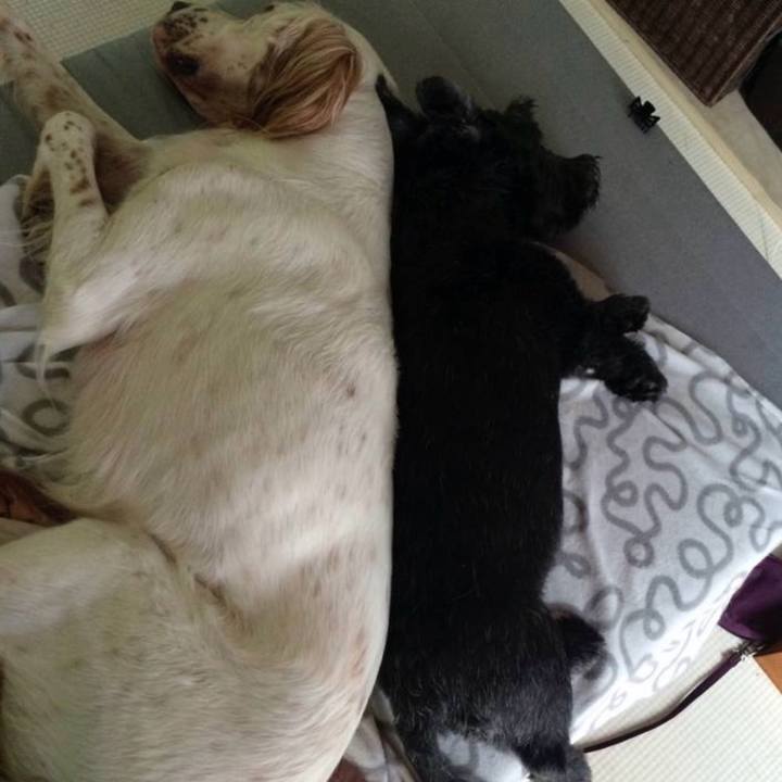 5dd581b2 d02b 460f afec c990b9eea6dc 1766446995314