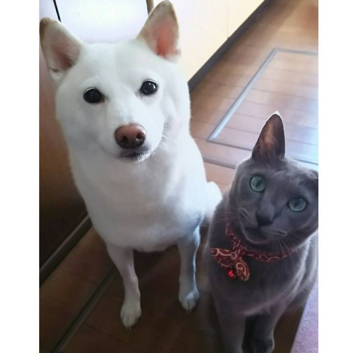 5dd58af0 30cb 4512 adbd 9248d02761c4 1534639777625