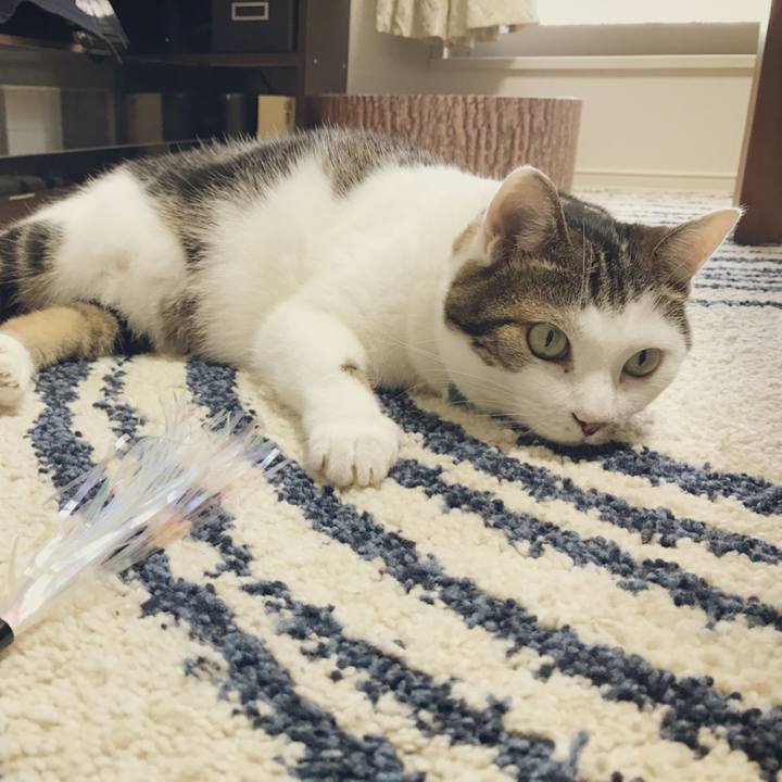 5dd59e46 e2a8 4085 9de4 9bc862419ff1 1533614320947