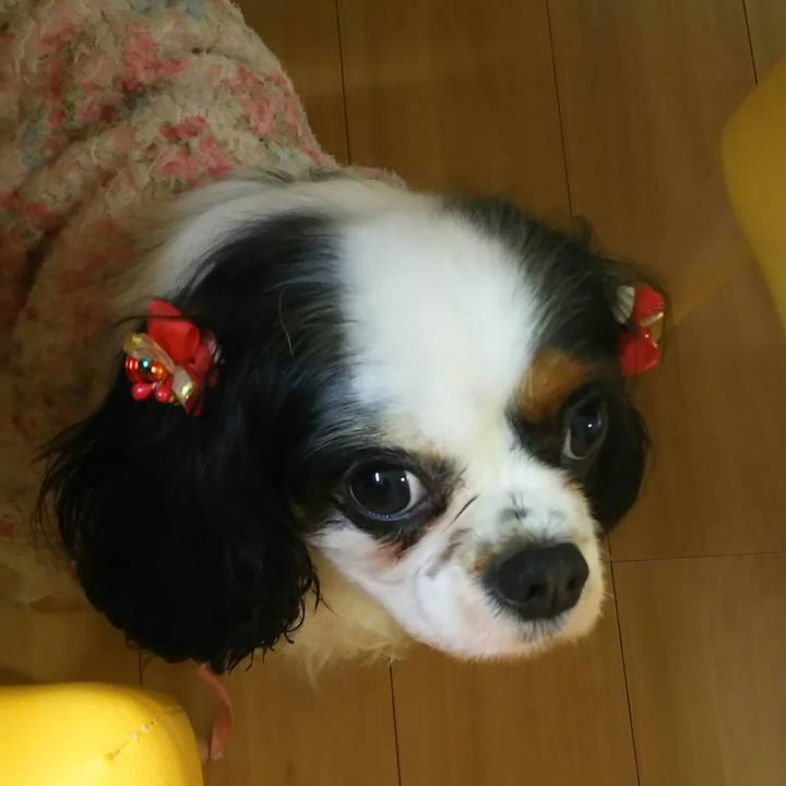 5dd5a8f3 8a17 4180 8c86 35c8172e6882 1515295338993