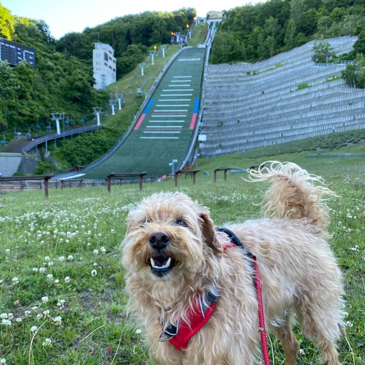 5dd5c66a e27b 4ab7 852f 506a580227f4 1687167467495