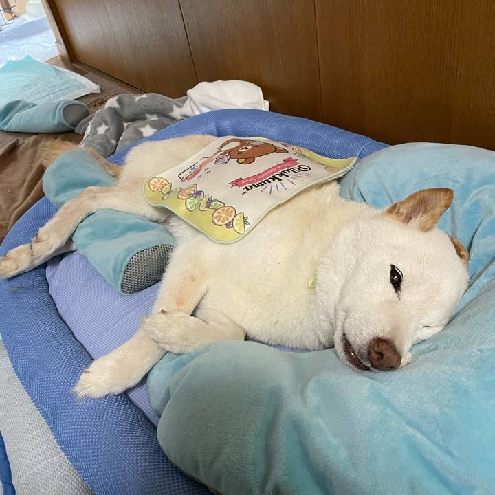 5dd5c7f2 6b4e 49df a11d 9ba8b1273f03 1651575246580