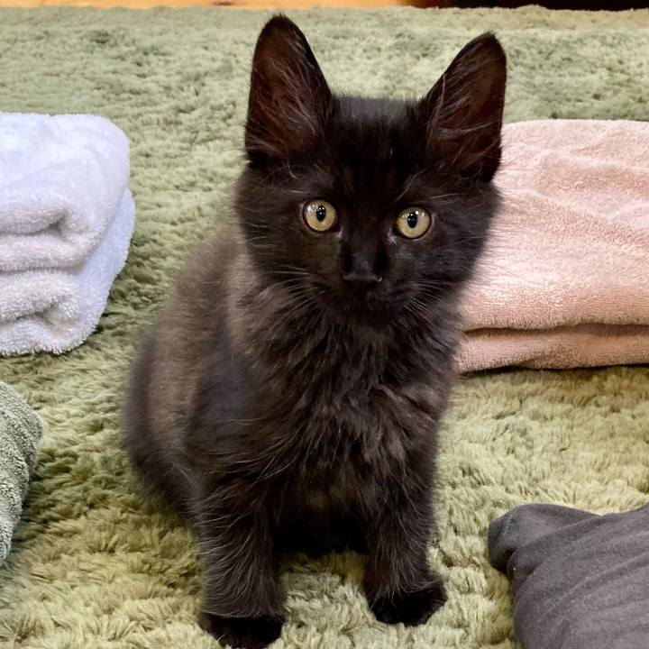 5dd5de44 296f 4096 890d d2f62a00dc83 1700458167567