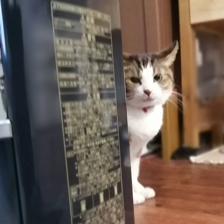 5dd5de96 8dda 45fb a331 992245ba7faa 1577010679056