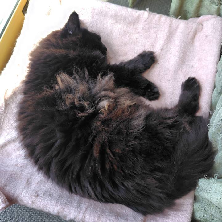 5dd61dc9 d6f8 4568 840c e62e1eab8df0 1749948303932