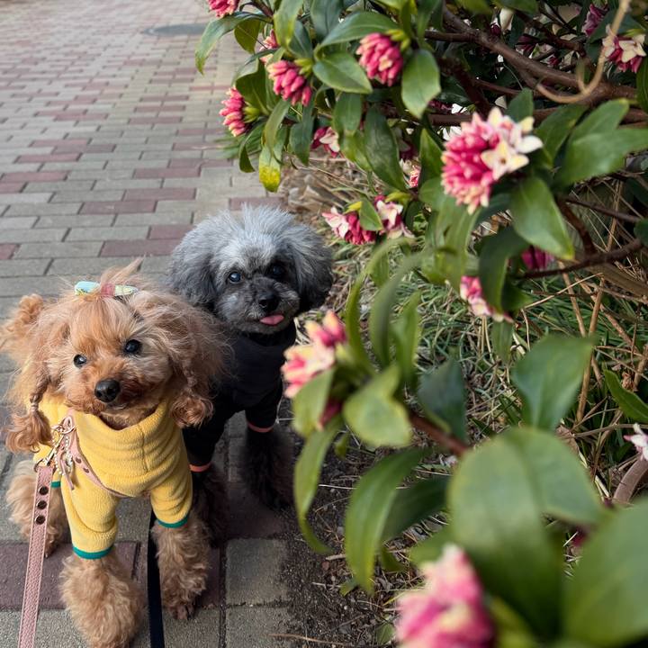 5dd62804 b4e0 4e7e ba64 f28a17f178a0 1771630043481