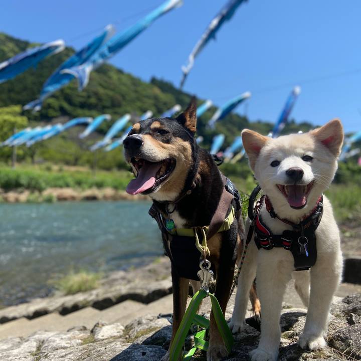 5dd637fa 4917 4aa3 b62f acf071b8253a 1714812742447