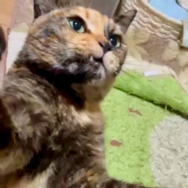 5dd6388b ca02 4cd8 a67a bfc8ada8f00f 1775730105432