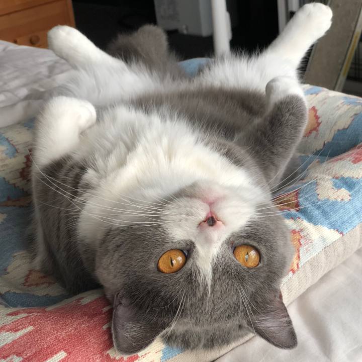 5dd66a90 129f 49d2 b70a 449aa4398a0d 1532657230365