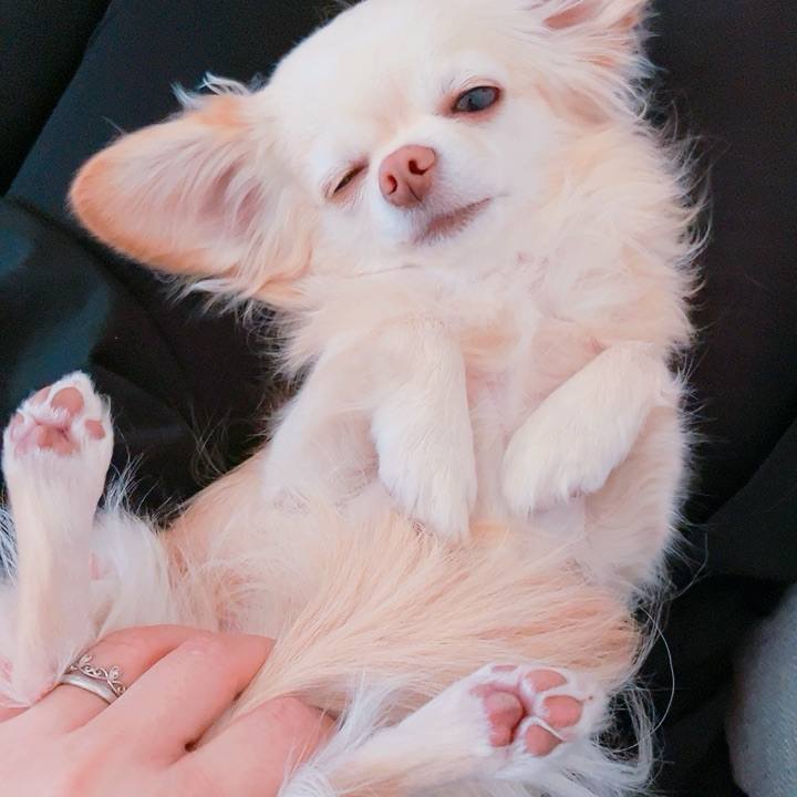 5dd6ab00 8b7b 4316 b683 57584b72ba8b 1705912687722