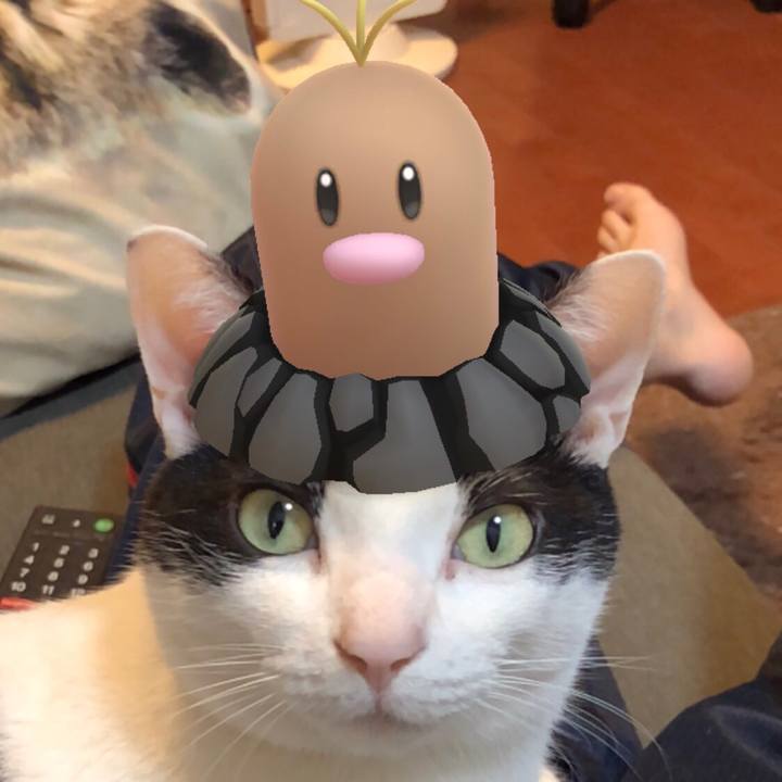 5dd6bc6f 651c 48bb b47c a083c4cb4135 1553842951494