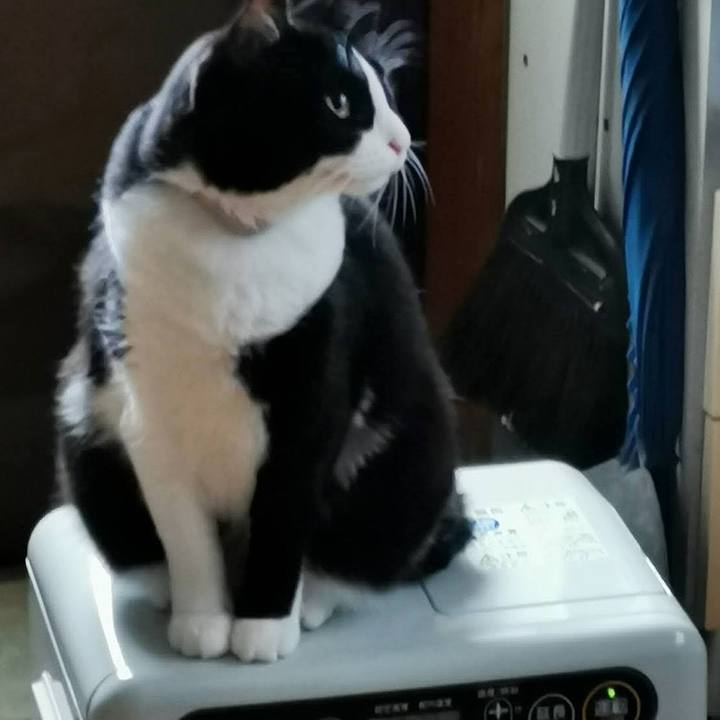 5dd6f44e 10a7 424f a3fb b7e9edef33a2 1698207814340