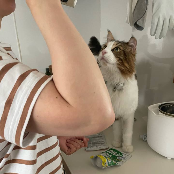 5dd70b0f 5d15 497a a449 0e97d15e1617 1660774279661