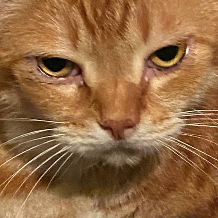 5dd71a6e 270f 4b34 ac21 3658c5ebdd15 1584562661564