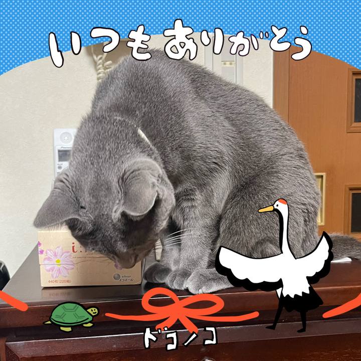 5dd723d9 be90 45f6 bb5c 84369cd49826 1727009050744