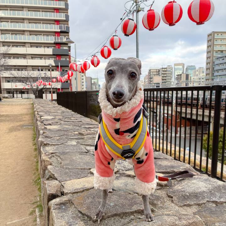 5dd72bf0 55b1 4734 80e5 eebe900489bd 1773653059903