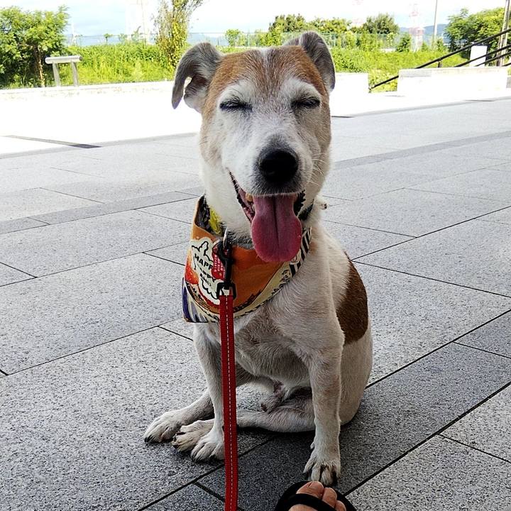 5dd72fca f845 476f 80b0 5e09e4df7557 1597024389613