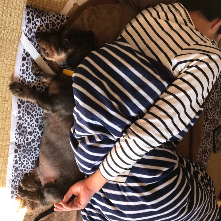 5dd731c2 8a6b 44e4 8dd7 7a560c7da5ed 1541818399907