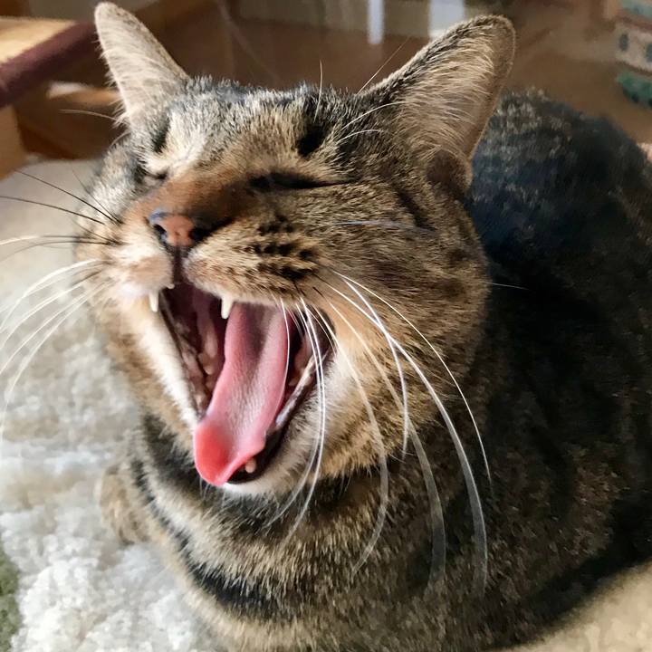 5dd79579 a1be 488a a1f0 ecd84b60d983 1548317108679