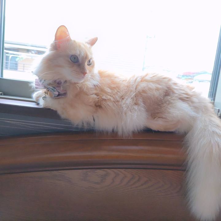 5dd81754 69a8 4771 bfc7 064f944a3933 1725155893461