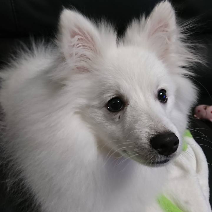 5dd817d8 9e5f 4e99 9313 d95e4cf17ad8 1554637710282