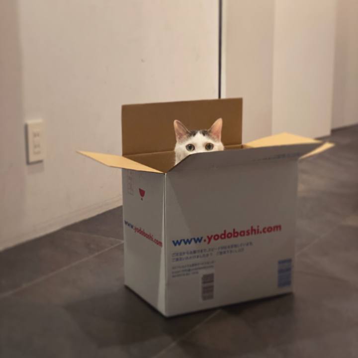 5dd85032 f238 4f82 839d 73e0b06ae7f8 1621029927458